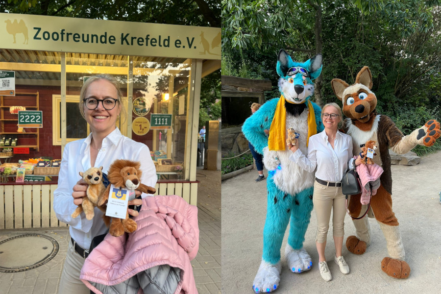 Zoofreunde Krefeld erhalten 250 Plüschlöwen